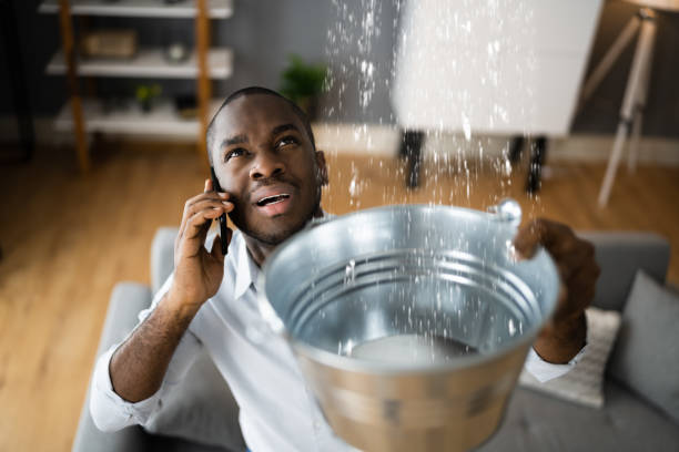 Best Water damage restoration mold remediation  in Moses Lake, WA