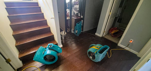 Best Carpet water damage restoration  in Moses Lake, WA