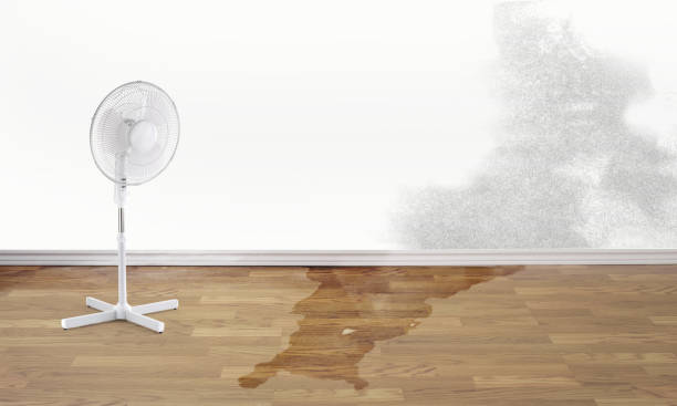 Best Fire Damage Restoration  in Moses Lake, WA