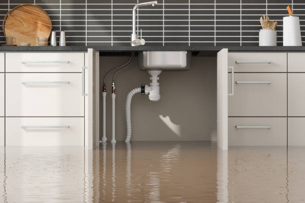 Best Water damage restoration insurance claims  in Moses Lake, WA