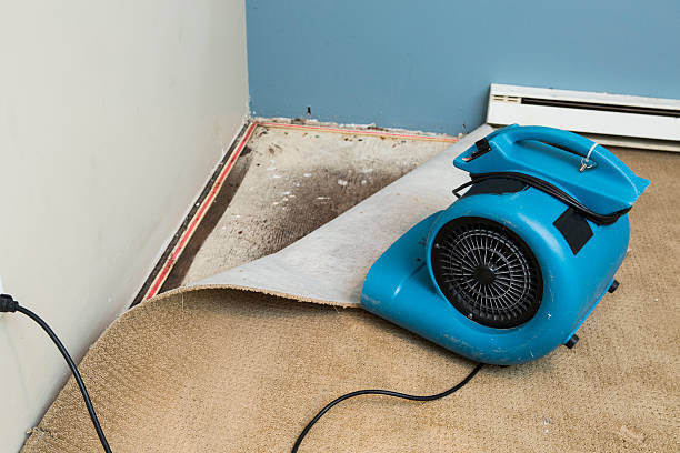 Best Water damage restoration near me  in Moses Lake, WA
